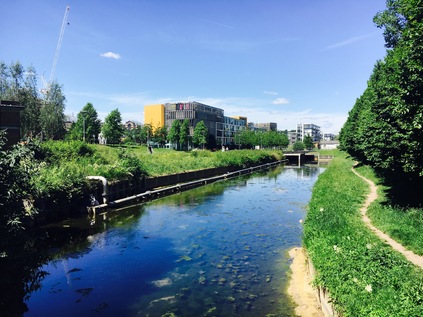 The New River at Hornsey