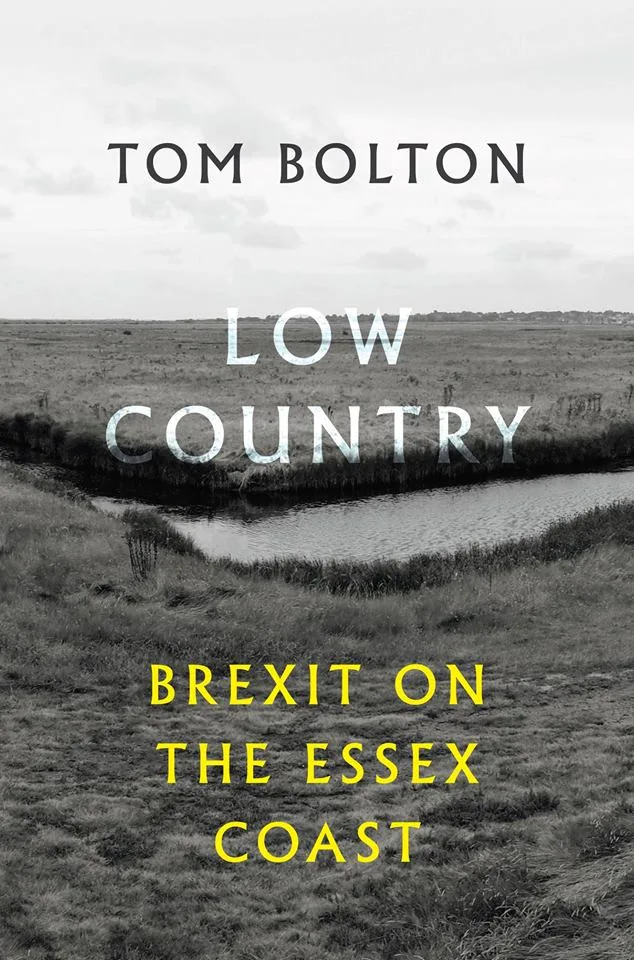 Abstract artwork for Tom Bolton - Low Country: Brexit on the Essex Coast