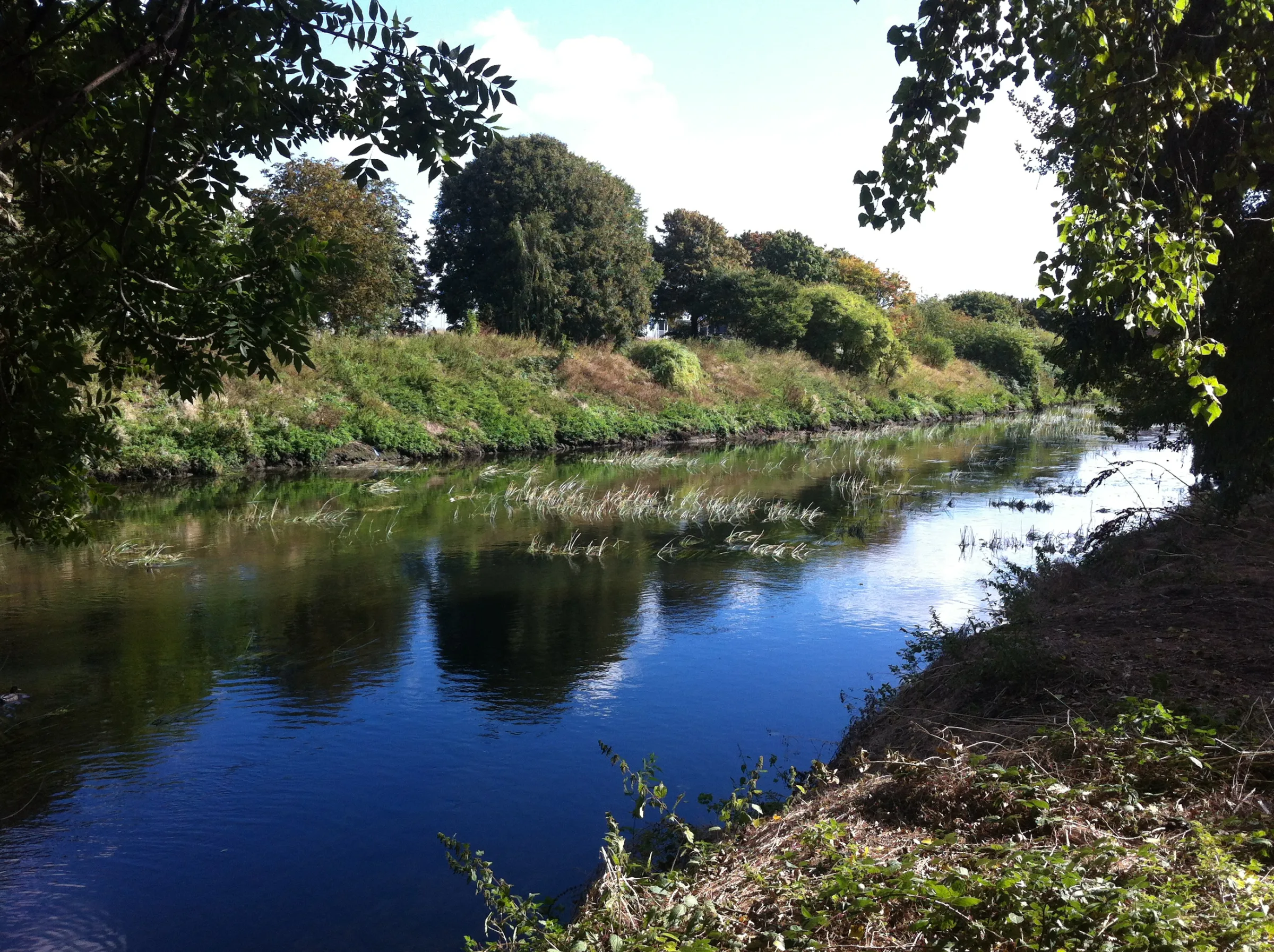 Artwork for Not Afraid of the Dark: The Old River Lea