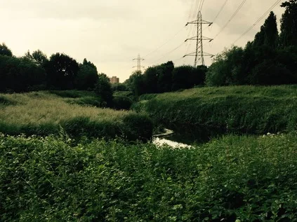 Artwork for Hidden, but not Lost - The Roding Valley