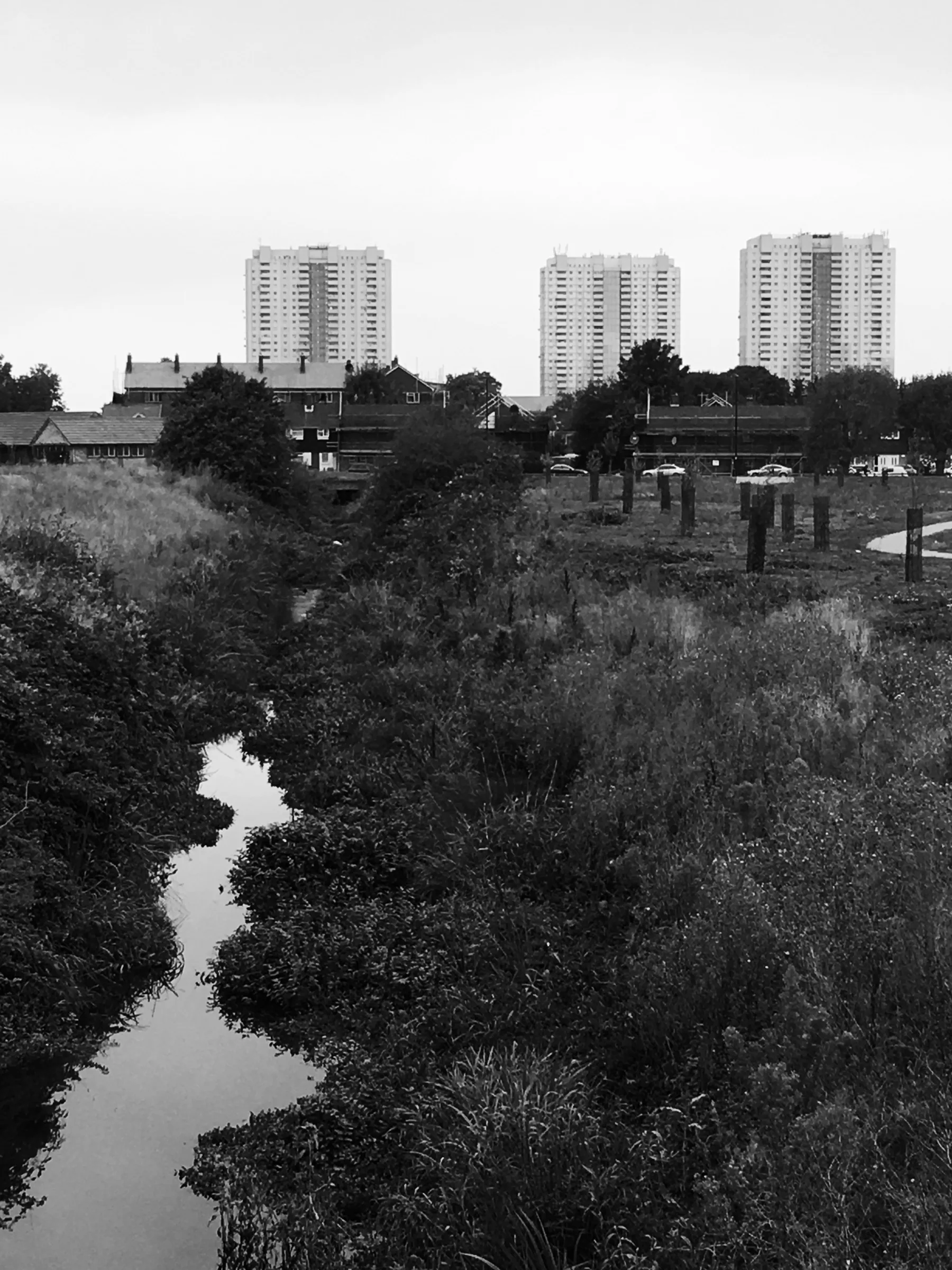 Artwork for Swimming Upstream: Salmons Brook