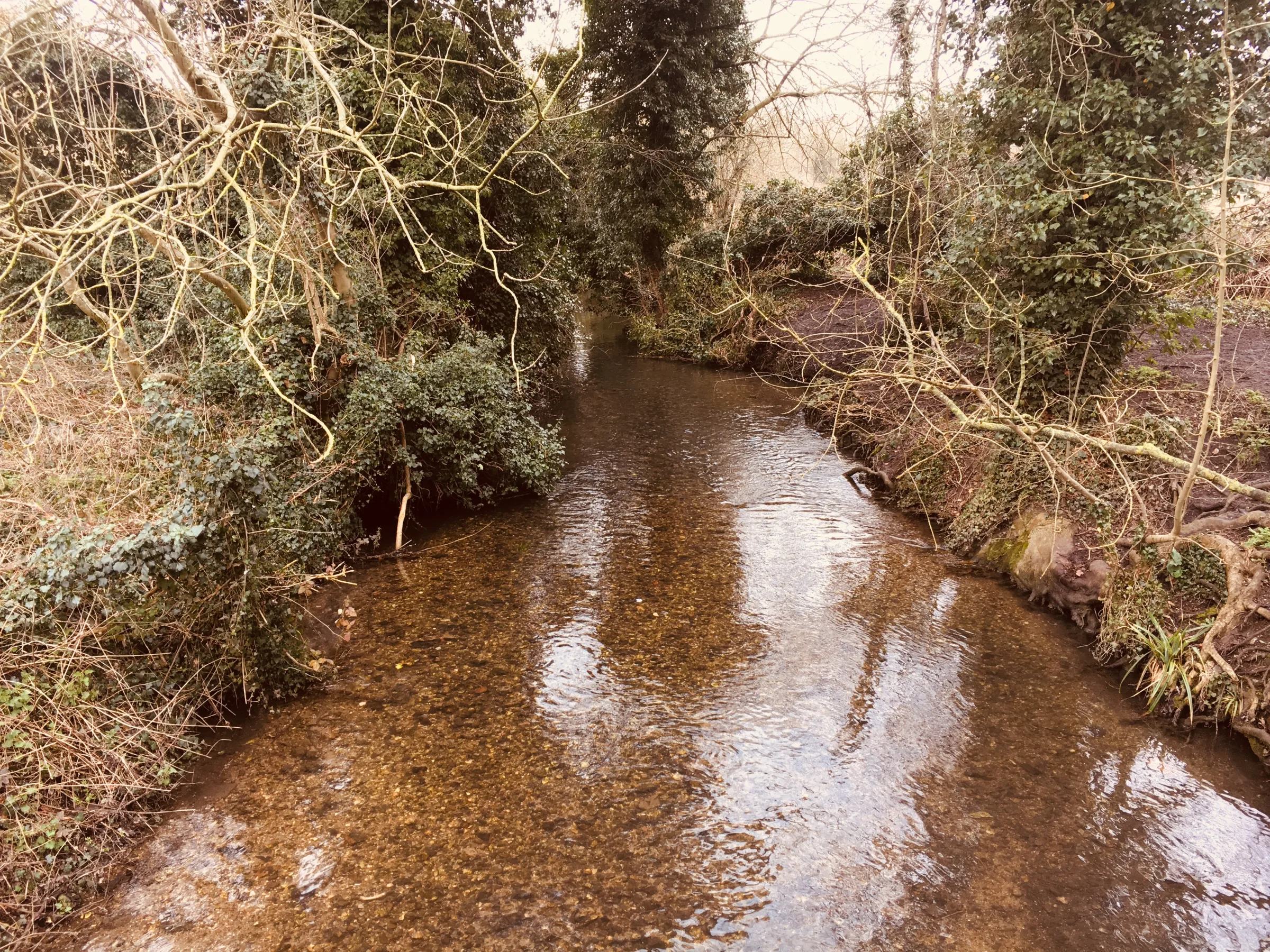 Artwork for The River Cray: A Perambulation of Kent