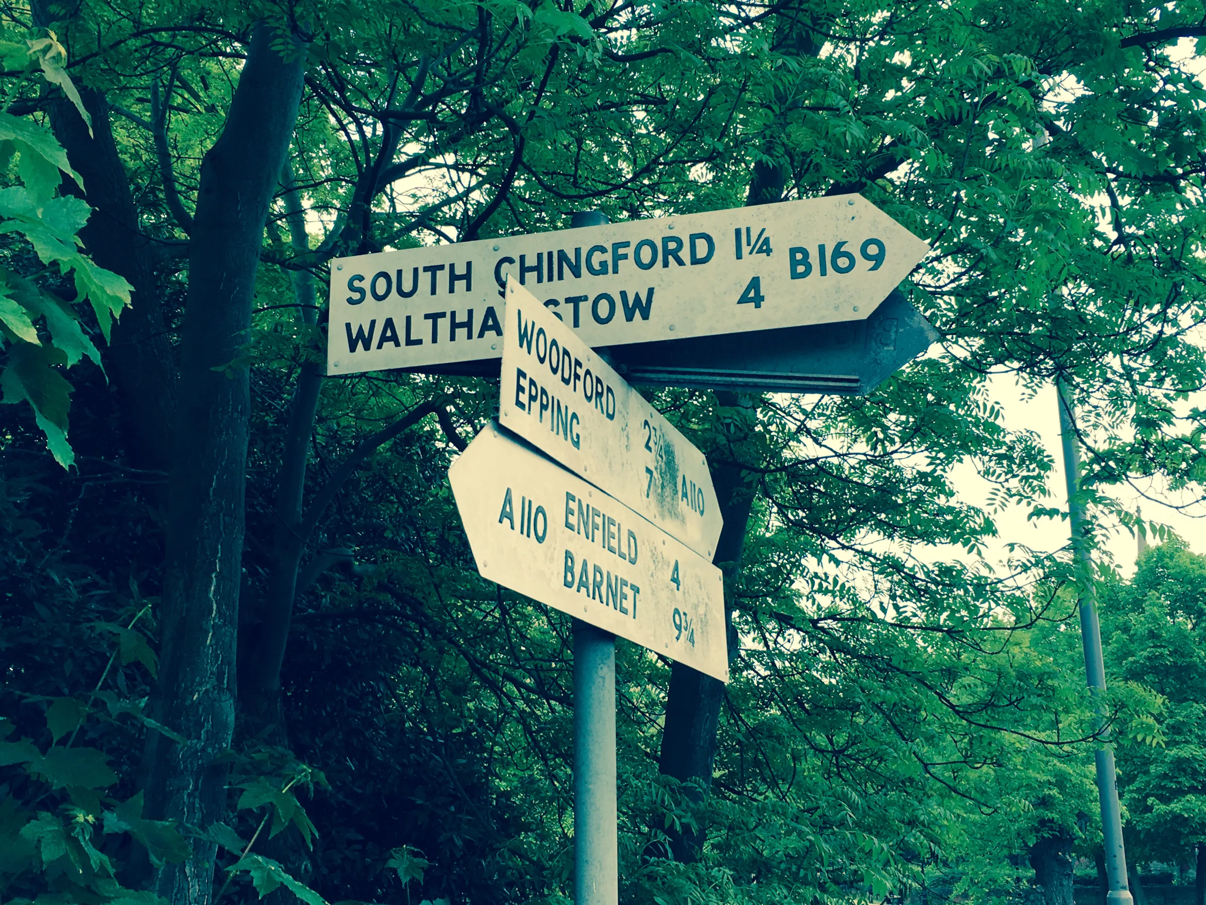 Artwork for London's Other Orbitals: Walking the A110