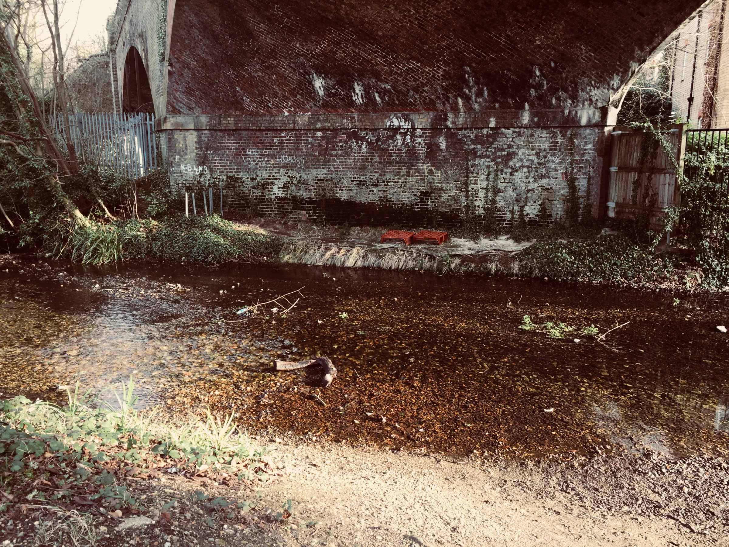Abstract artwork for Ill-treated and still hardworking: Walking The River Wandle