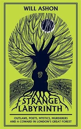 Artwork for Will Ashon - Strange Labyrinth