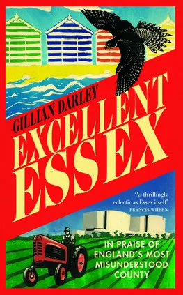 Abstract artwork for Gillian Darley - Excellent Essex