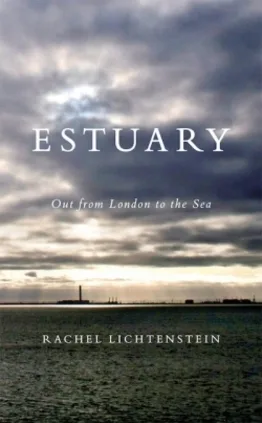 Abstract artwork for Rachel Lichtenstein - Estuary