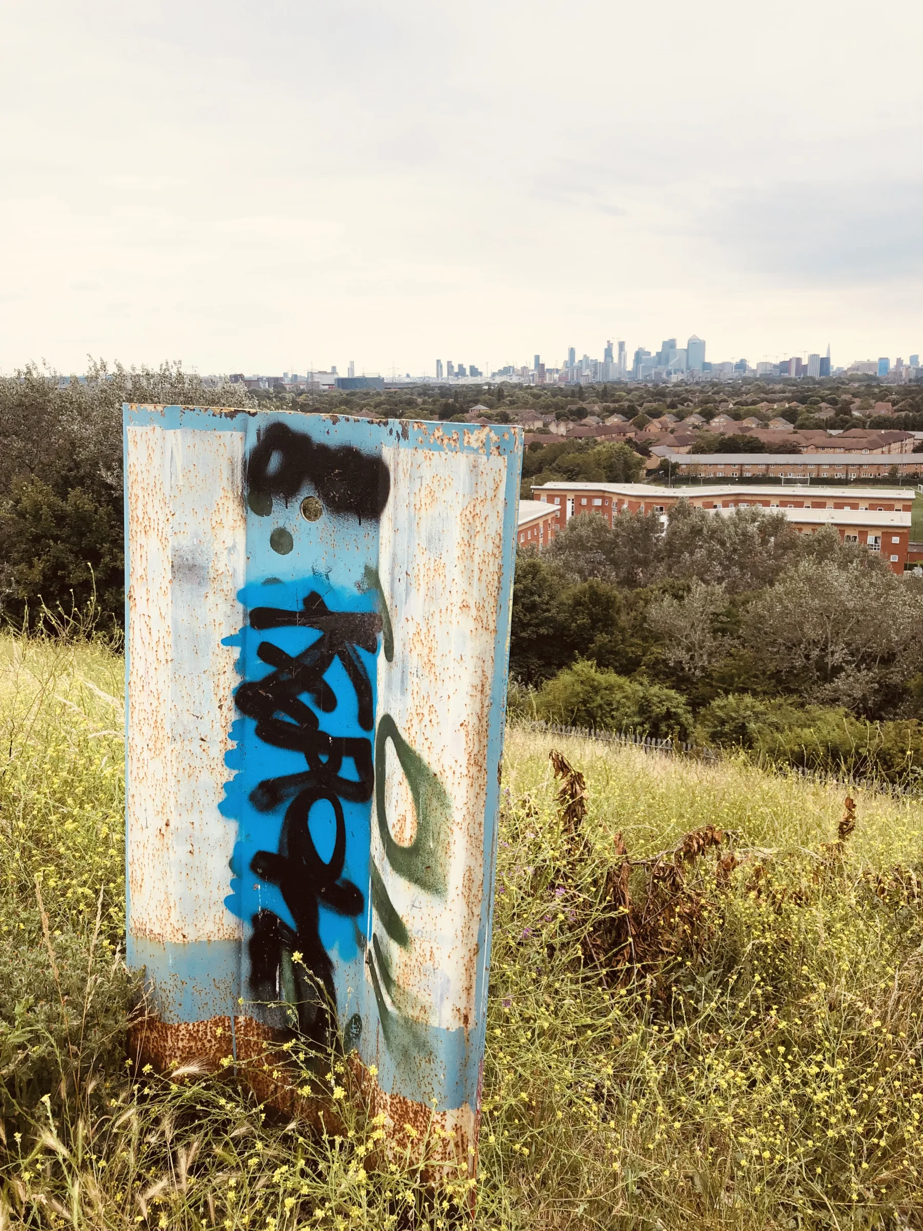 Abstract artwork for The East Bank - Walking the Antihistamine Trail