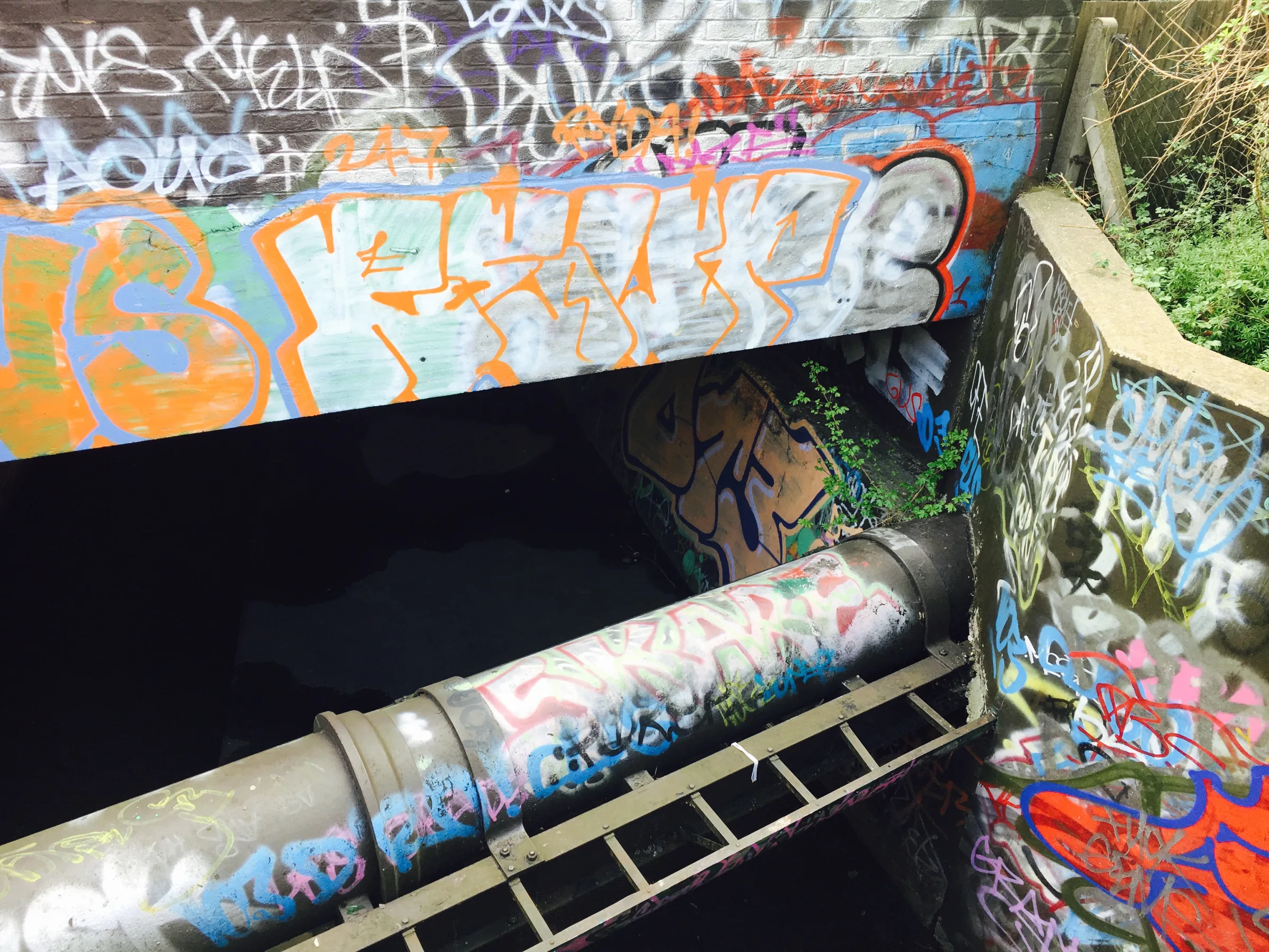 Artwork for Walking the Beam: An urban country ramble