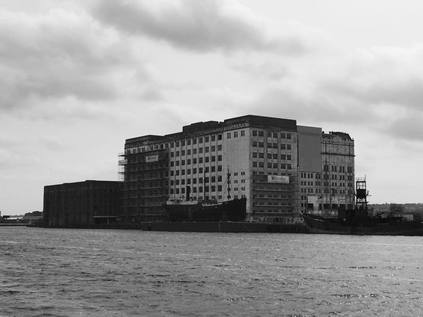 Millennium Mills