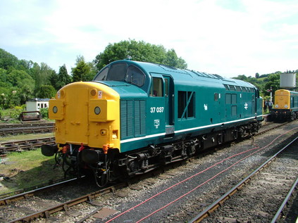 37037 rests between turns at Buckfastleigh