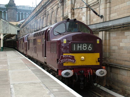 37261 and 37197 lead the Royal Scotsman