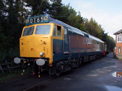 50002 sits in the sun at Buckfastleigh