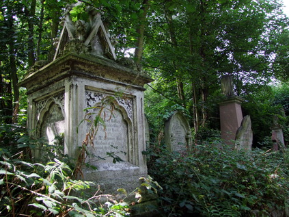 The cemetery is comfortably disordered, nature reclaiming space...