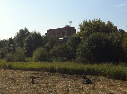 The remains of Millfields Power Station, from the Middlesex Filter Beds