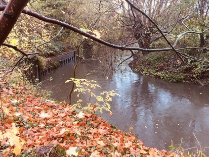 River Brent, near Pitshanger Park