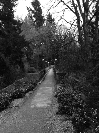 Footbridge, Washington Park Arboretum