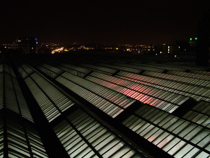 The vast glass roof of Central Station