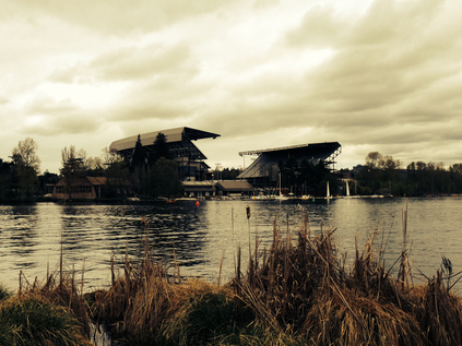 Husky Stadium from Marsh Island