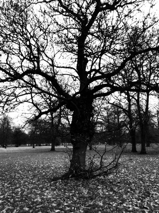 Kensington Gardens, Hyde Park