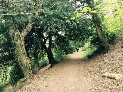 Woodland footpath, Malvern Hills