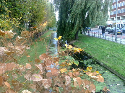 The New River at Enfield, pretty straight for a 'loop'!