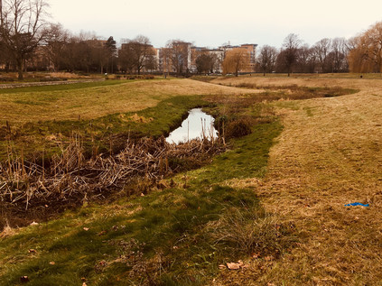 The River Wandle breaks cover...