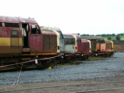 Hidden gems - a mixed bag of Class 37s await disposal