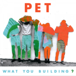 Pet - What You Building?